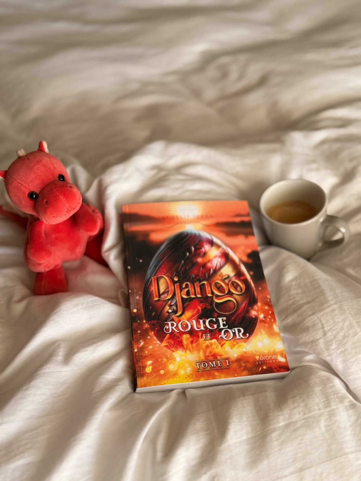 auteur Bassin d'Arcachon