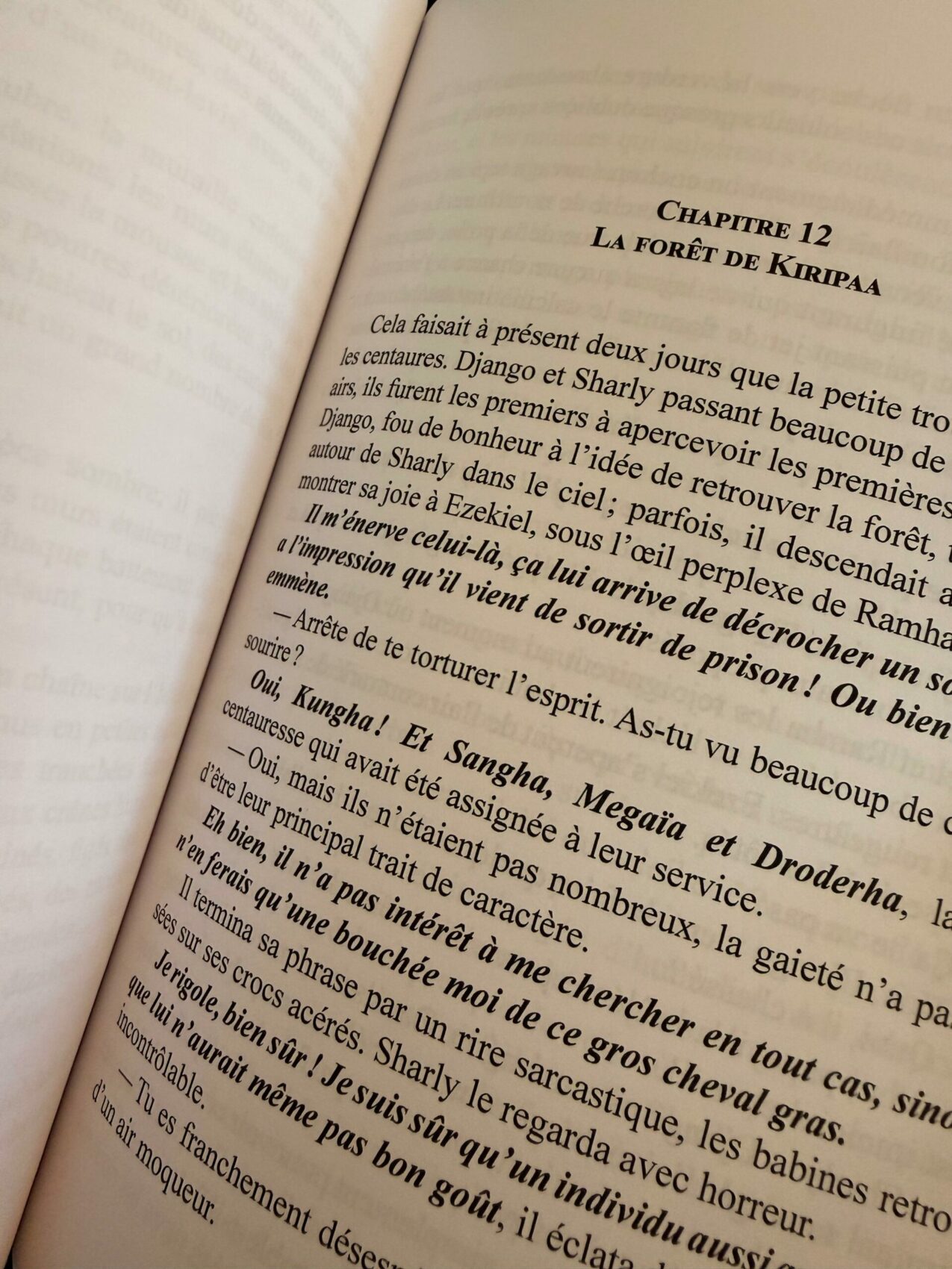 roman fantasy dragon adulte