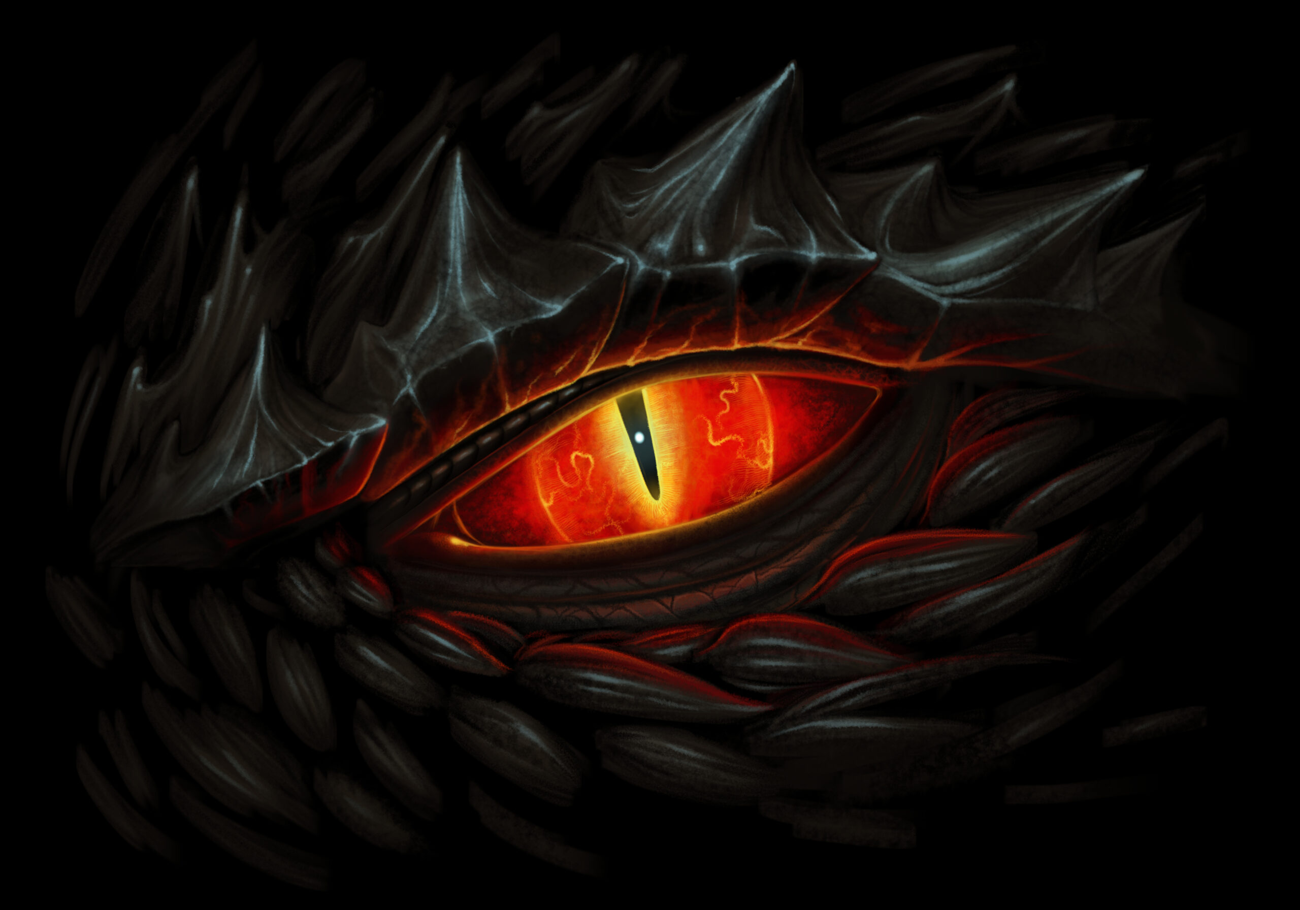 saga dragon Bordeaux