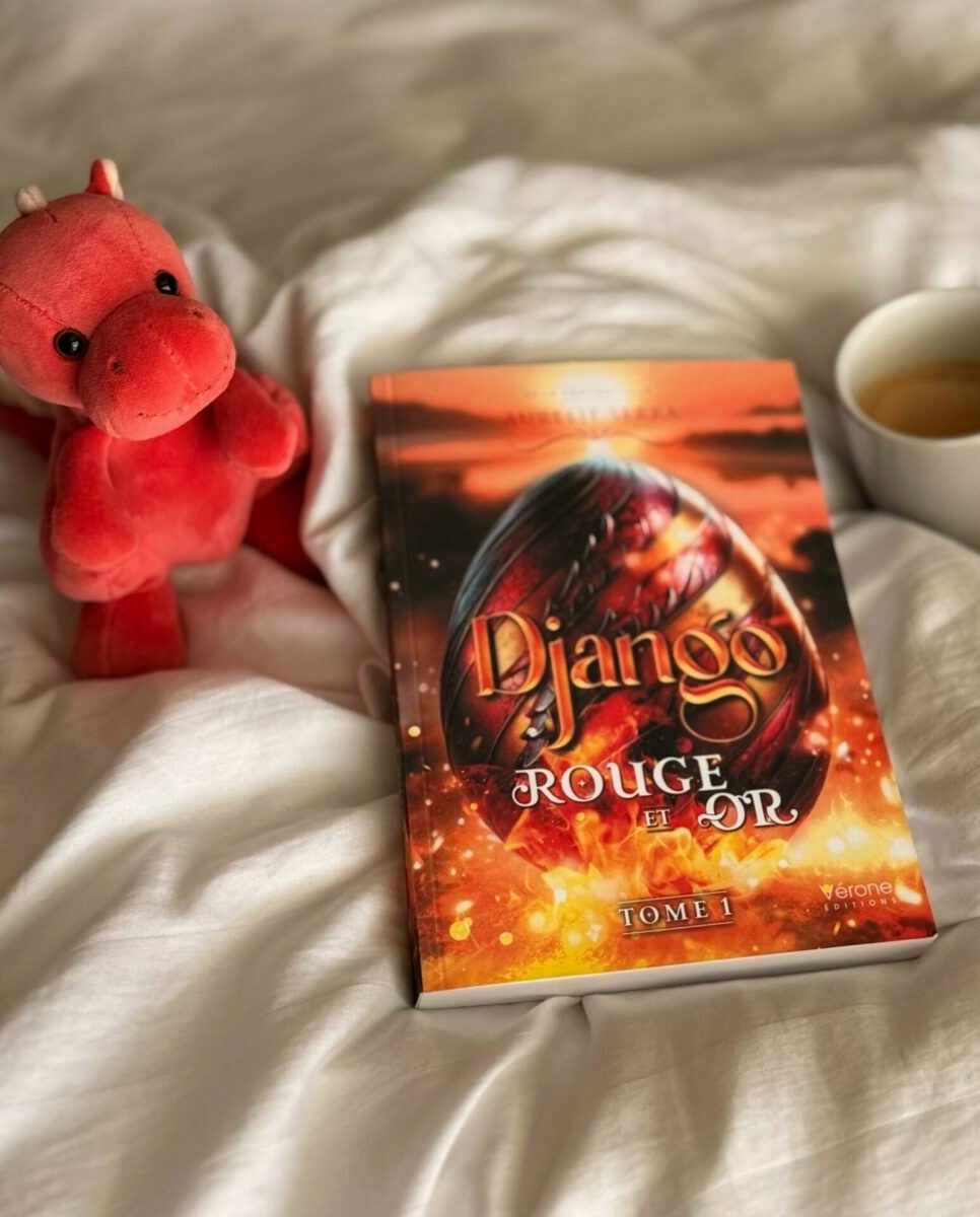 saga dragon Audenge